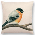 Birds Painting Cushion Cover - Axyaa Collection: Robin, Titmouse, Toucan, Sparrow, Firecrest, Cardinal, Bullfinch