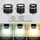 Axyaa LED Ceiling Chandelier for Home Decor and Lighting