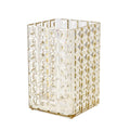 Axyaa Clear Makeup Brush Holder & Cosmetic Organizer Display Rack