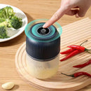 Axyaa Electric Mini Garlic Chopper Stainless Steel Mincer Grinder for Kitchen