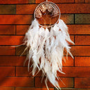 Dream Catcher Tree Of Life Wall Hanging by Axyaa - Boho Decor Wind Chimes & Ornaments
