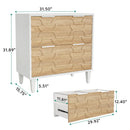 Axyaa 2-Drawer Lateral File Cabinet for Office Storage and Organization