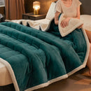 Axyaa Cozy Coral Fleece Blanket - Soft Fluffy Velvet Throw for Bed & Sofa