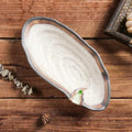 Axyaa Ceramic Sushi Sashimi Plate Set for Japanese Restaurant Dining