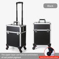 Axyaa Large Cosmetic Trolley Case with Key, Aluminum Professional Makeup Organizer