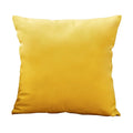 Axyaa Nordic Velvet Cushion Cover for Home Decor, 30x50 45x45cm