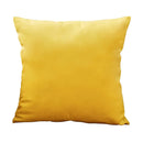 Axyaa Nordic Velvet Cushion Cover for Home Decor, 30x50 45x45cm