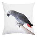 Axyaa Parrot Bird Decorative Throw Pillow Cover - Colorful Polyester Sofa Pillow Cover