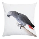 Axyaa Parrot Bird Decorative Throw Pillow Cover - Colorful Polyester Sofa Pillow Cover