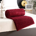 Axyaa Super Soft Flannel Fleece Blanket: Large, Warm Throw for Bed or Sofa