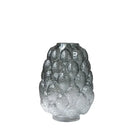Axyaa Gradient Glass Vase Hydroponic Terrarium Home Decor Accessory