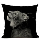 Axyaa Cat Pattern Cushion Cover 45x45cm Linen Pillowcase for Home Sofa Art Decor