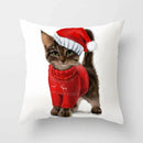 Axyaa Cartoon Cat Animal Sofa Cushion Cover - 45*45 Throw Pillow Home Decor