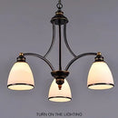 Axyaa European Oil Rubbed Bronze Chandelier with Glass Shades for Living Room & Kitchen