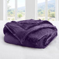 Axyaa Plush Fleece Blanket - Luxurious, Cozy, and Lightweight All-Season Throw