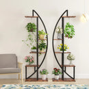 Axyaa 5-Tier Plant Stand Set, Curved Multi-Purpose Display Shelf for Indoor Garden