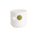 Axyaa Portable Travel Kung Fu Tea Set with Disposable Teapot and Cup