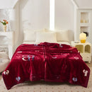 Axyaa Thicken Plush Weighted Blanket - Winter Heavy Throw for Warm Beddings