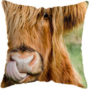 Axyaa Highland Cat Cow Yak Animal Pillowcase for Stylish Home Decor