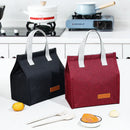 Axyaa Insulated Lunch Bag: Portable, Multifunctional, Solid Color for Picnics and School