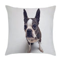 Axyaa Cute Pet Puppies Black and White Art Peach Skin Pillowcase