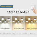 Axyaa Nordic Ceiling Chandeliers in 3 Colors for Home Lighting