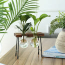 Axyaa Wooden Frame Hydroponic Glass Bulb Vase Planter for Home Decor