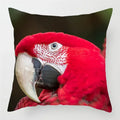 Colorful Parrots Decorative Cushion Cover by Axyaa - 45x45cm