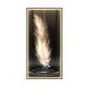 Axyaa Feather Art LED Wall Lamp for Modern Home Decor