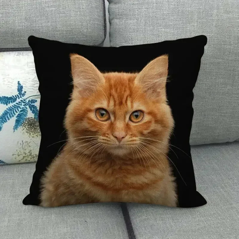 Fat Orange Cat Print Cushion Cover 45x45cm by Axyaa: Animal Pattern Home Decor Pillowcase