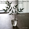 Axyaa Glass Vase: Modern Zen Hydroponics Floral Insert for Home and Office Decor