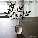 Axyaa Glass Vase: Modern Zen Hydroponics Floral Insert for Home and Office Decor