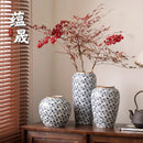 Axyaa Ceramic Vase for Flowers, Hydropnics, and Dry Arrangements