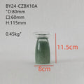 Axyaa Glass Vase Set for Home Decor and Aromatherapy