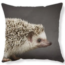 Axyaa Lovely Little Hedgehog Design Cushion Cover for 45*45cm Sofa Pillow