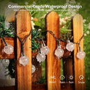 Axyaa Solar Crystal Globe String Lights: Outdoor LED Fairy Garland for Christmas Party Garden Decoration