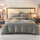 Axyaa 2024 Luxury Cotton Thickened Solid Color Four-Piece Set