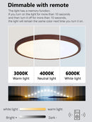 Axyaa Modern Simple LED Ceiling Lamp Ultra-Thin Eye Protection for Bedroom Balcony Study