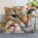 Axyaa Pet Cat Bed Pillowcase - Cute Animal Printed Cushion Cover