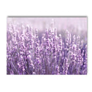 Axyaa Lavender Field Canvas Wall Art Nordic Style Landscape Posters