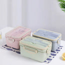 Axyaa Portable Microwavable Bento Box for Office, School or Picnic