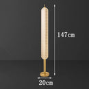 Axyaa LED Floor Lamp: Minimalist Remote Control Dimming Nordic Ins Style Vertical Light