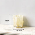 Gradient Glass Vase Hydroponic Flower Pot by Axyaa