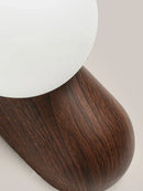 Axyaa Resin Wall Light for Modern Room Decor
