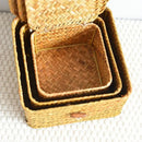 Axyaa Rattan Wicker Shelf Basket: Handwoven Rectangular Organizer for Home Storage