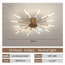 Axyaa Modern LED Ceiling Lamp for Home Decor