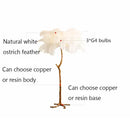 Axyaa Ostrich Feather Floor Lamp - Light Luxury Modern Design