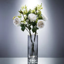 Axyaa Glass Vase with Gilded Edges, Hydroponic Flower Arrangement, Soft Decor