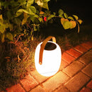 Axyaa RGB Dimming Solar Outdoor Camping Portable LED Light