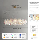 Axyaa Luxury Glass Crystal Chandelier for Living Room, Bedroom, and Study